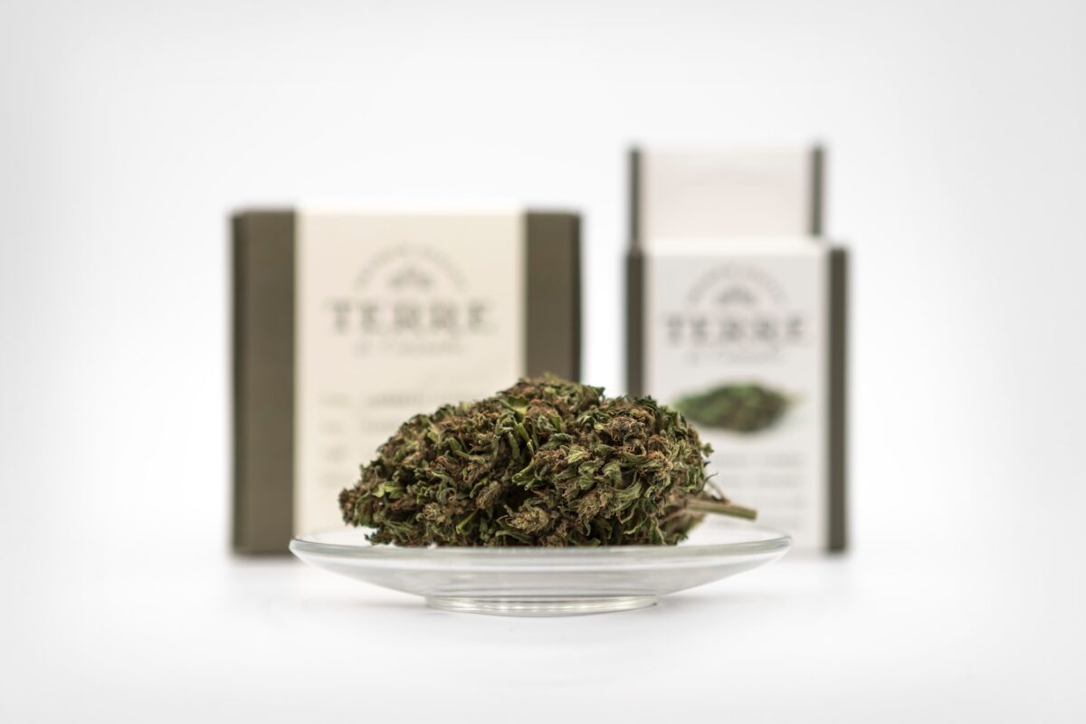 באלו מחלות ניתן לטפל באמצעות מוצרי CBD?